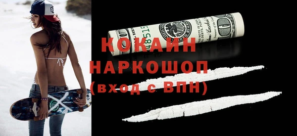 хмурый Арсеньев