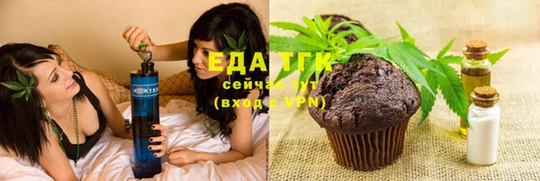 хмурый Арсеньев