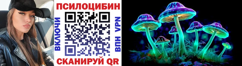Галлюциногенные грибы Psilocybine cubensis Шагонар