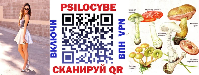 Псилоцибиновые грибы Psilocybine cubensis  kraken ТОР  Шагонар 